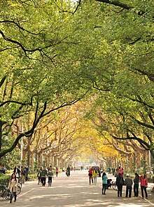 The Gulou campus in autumn Nanjing University, Gulou Campus.jpg