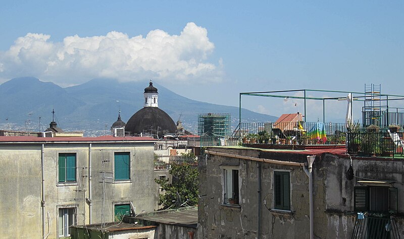 File:Napoli - palazzi e cupole visti dal Museo di San Lorenzo Maggiore.JPG