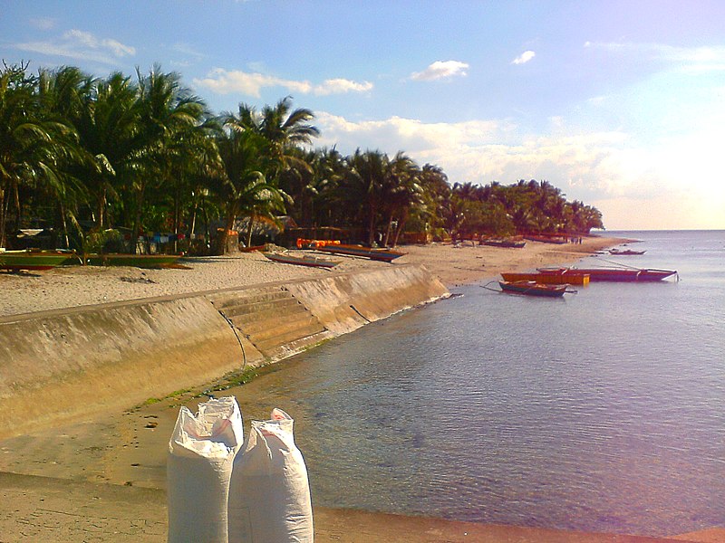 File:Narra, Palawan, Philippines - panoramio (2).jpg