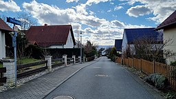 Narzissenhang in Dresden