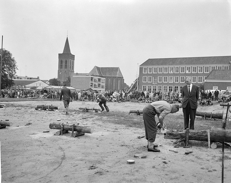 File:Nationale boomzaagwedstrijden, Bestanddeelnr 914-2334.jpg