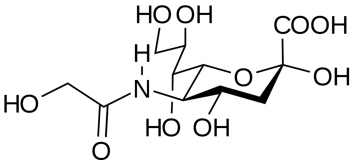 N Glycolylneuraminic Acid Wikipedia
