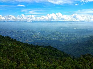 Nilgiri Mountains Mountain range in Tamil Nadu, India