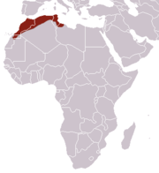 Aire de répartition du Macroscélide d'Afrique du Nord