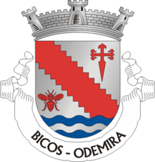 Vlag van Bicos