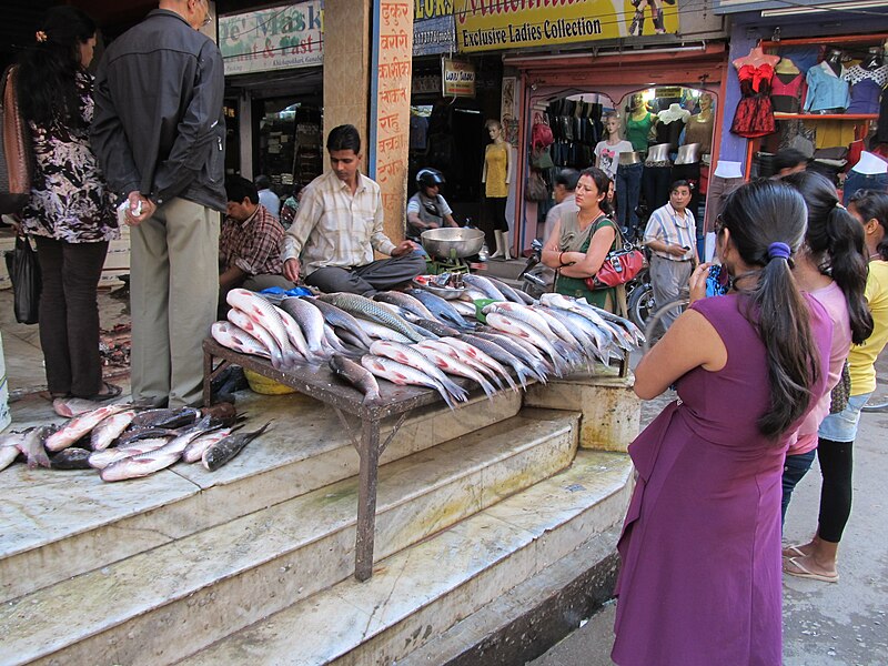 File:Old Kathmandu0940.JPG