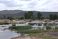 One more view of Cauvery river.jpg
