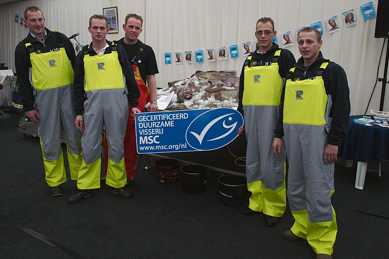 File:Osprey crew with MSC logo.jpg