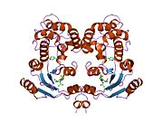 PDB 1ism EBI.jpg