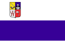 Vlag van Wągrowiec