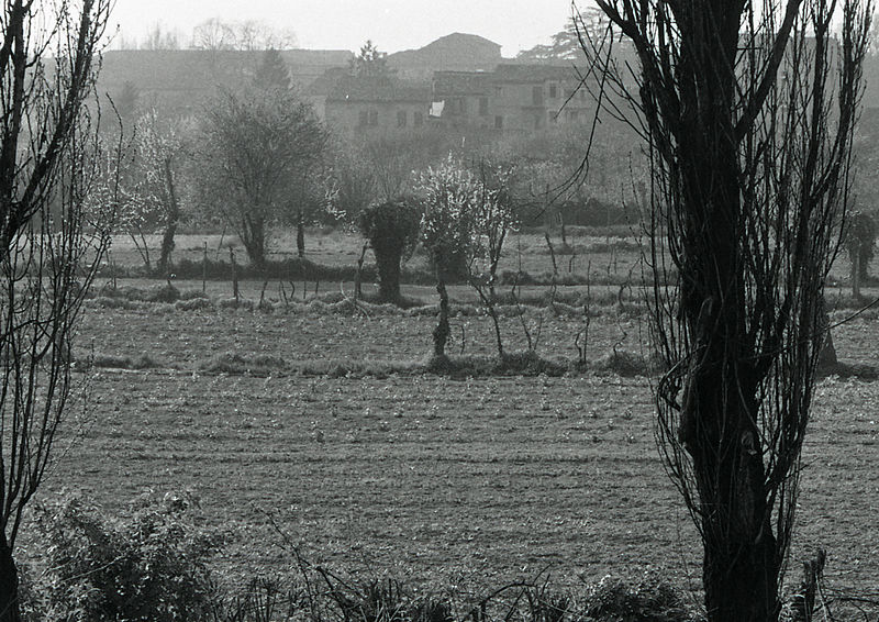 File:Paolo Monti - Servizio fotografico - BEIC 6348745.jpg