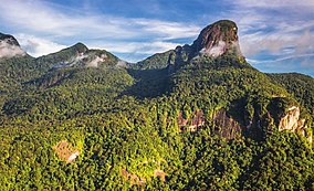 Parque Nacional da Serra da Mocidade.jpg