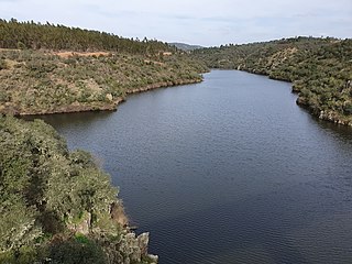 Tagus International Natural Park