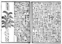 Perinteinen Kiinalainen Lääkintä: Lääketieteilijöiden näkemyksiä, Perinteisen kiinalaisen lääkinnän oppi, Teoreettinen perusta