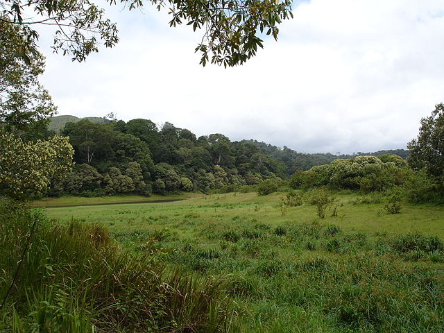 File:Periyar_National_Park_-_3.JPG