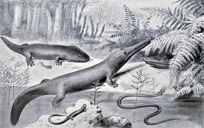 File:Permian amphibians.jpg