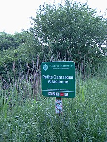 Lille Alsace Camargue, Panel.jpg