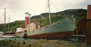 Petrel Grytviken Georgia Selatan (4632155467).jpg