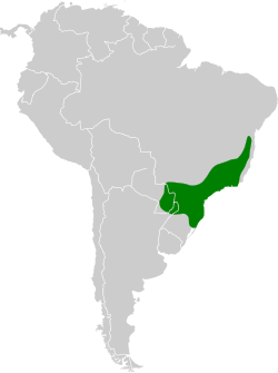 Distribución geográfica del ermitaño escamado.