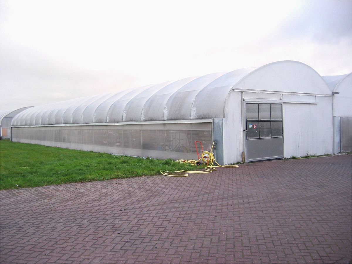 serre tunnel