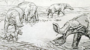 Outdated 1932 restoration of P. grangeri as a swamp-dweller.