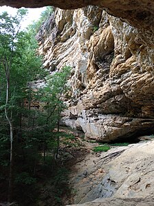 Cliffs at Pogue Creek Natural Area