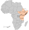 Африка: Потекло на поимот, Историја, Праисторија