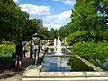 Wassergarten auf der Freundschaftsinsel in Potsdam, Anfang der 1950er angelegt
