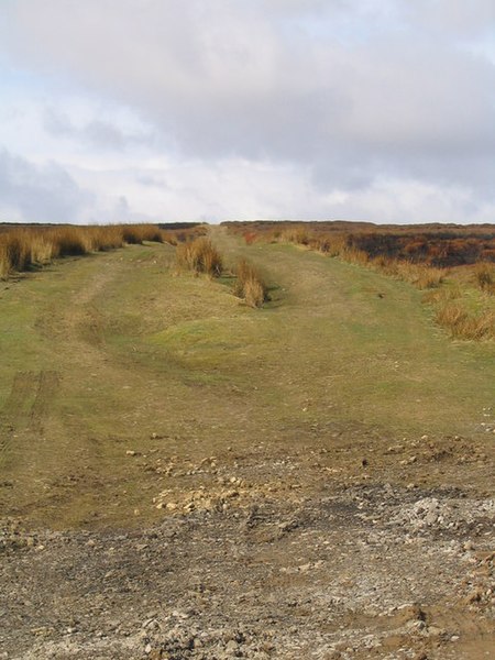 File:Pott Moor - geograph.org.uk - 153321.jpg