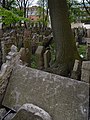 * Nomination Old Jewish Cemetery Prague, Czech Republic --Uoaei1 04:35, 19 May 2017 (UTC) * Promotion  Support Good quality. The other photographer is waiting for you? --XRay 04:45, 19 May 2017 (UTC)