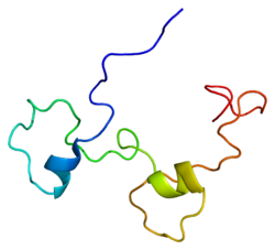 Протеин CPSF4 PDB 2d9n.png