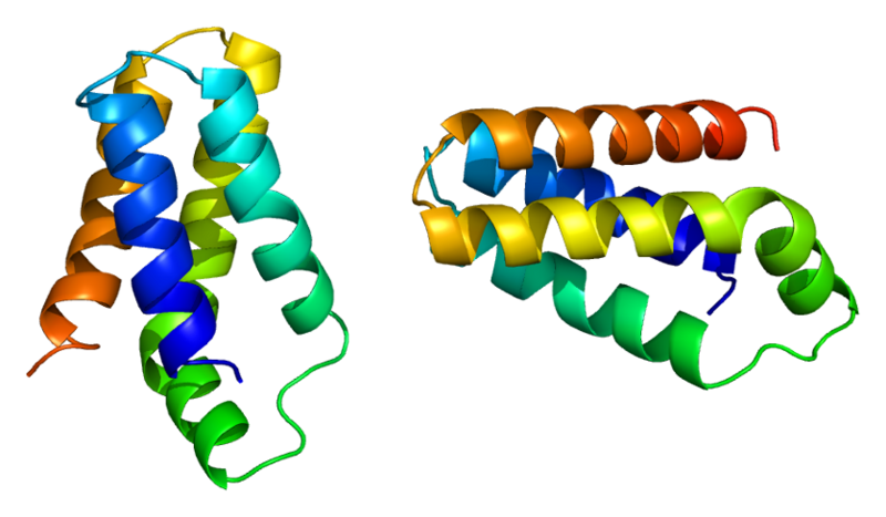 File:Protein FRAP1 PDB 1aue.png