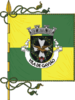 Bandera de Gavião