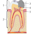 Thumbnail for version as of 21:30, 8 February 2014