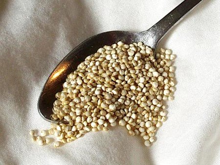 Tập_tin:Quinoa.jpg