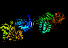 Crystal structure of ribose 5-phosphate isomerase and ribose 5-phosphate complex in E. coli RPIA.png