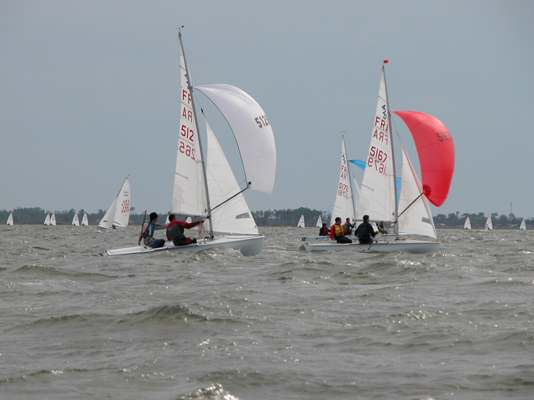 Regatta