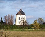 Reitzendorfer Windmühle
