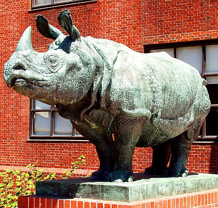 Tập tin:Rhinoceros Sculpture, Biological Sciences Building, Harvard University, Cambridge, Massachusetts.JPG