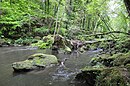 Irreler waterfalls