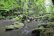 Het riviertje de Prüm tussen Prümzurlay en Irrel