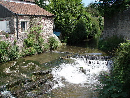 River Sheppey in Croscombe