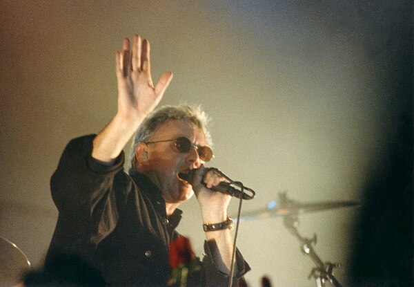 Taylor onstage in Palermo, Italy, January 1995