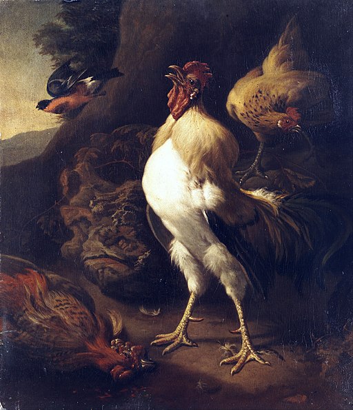 Der stolze Hahn, Öl auf Leinwand. 91,5 x 80 cm. Von Melchior d'Hondecoeter (1636–1695)