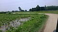 Rupnagar, Punjab, India - panoramio (17).jpg