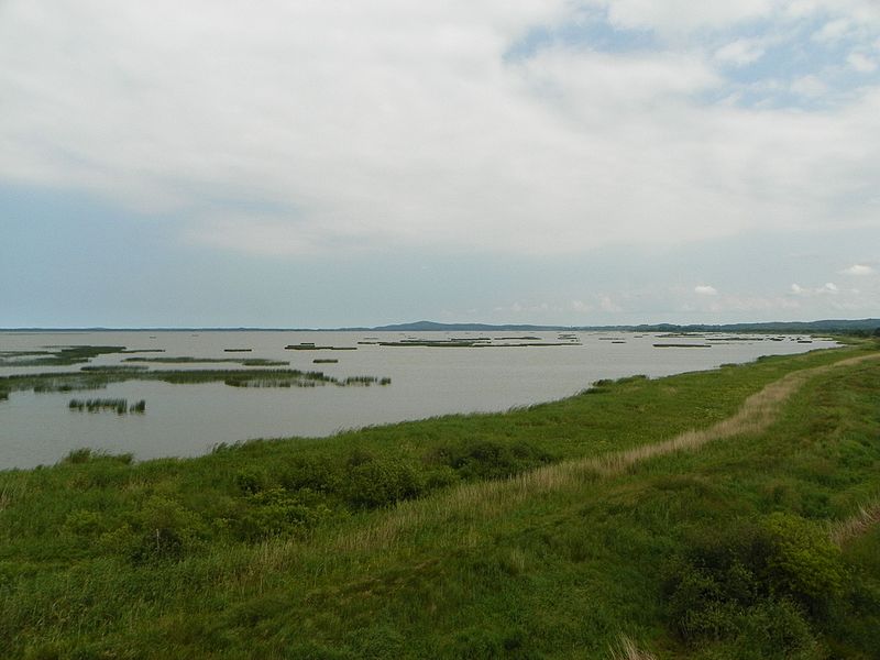 File:Słowiński PN, jezioro Gardno 2015-06-28 widok z wieży na Rowokół.jpg