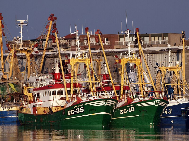 File:SC-35 Jacob Senior & SC-10 Amrumbank at IJmuiden, The Netherlands.jpg