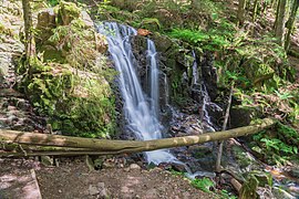 Sankt Blasien Windbergwasserfall Bild 1.jpg