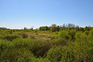 Schleswig-Holstein, Borgwedel, Naturschutzgebiet Esprehmer Moor NIK 1798.jpg