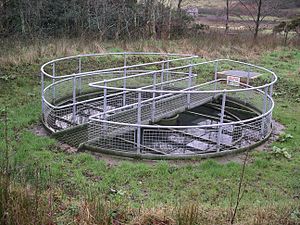 Wastewater Treatment